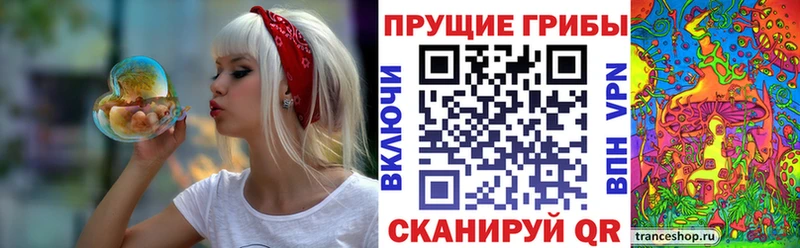 Галлюциногенные грибы Psilocybine cubensis  купить наркотик  Кировград 